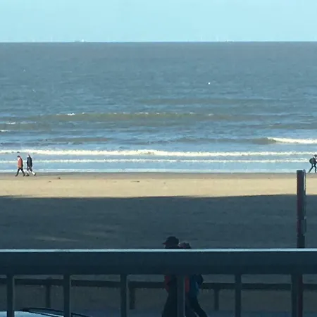 Serena Blankenberge